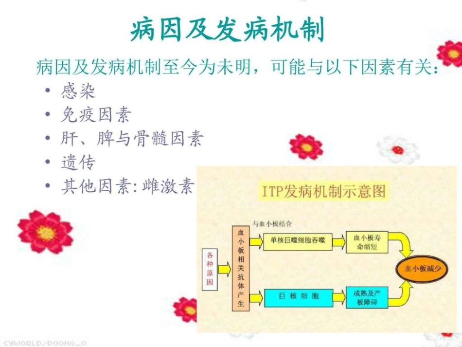 特发性血小板减少性紫癜患者的护理查房图文_第3页
