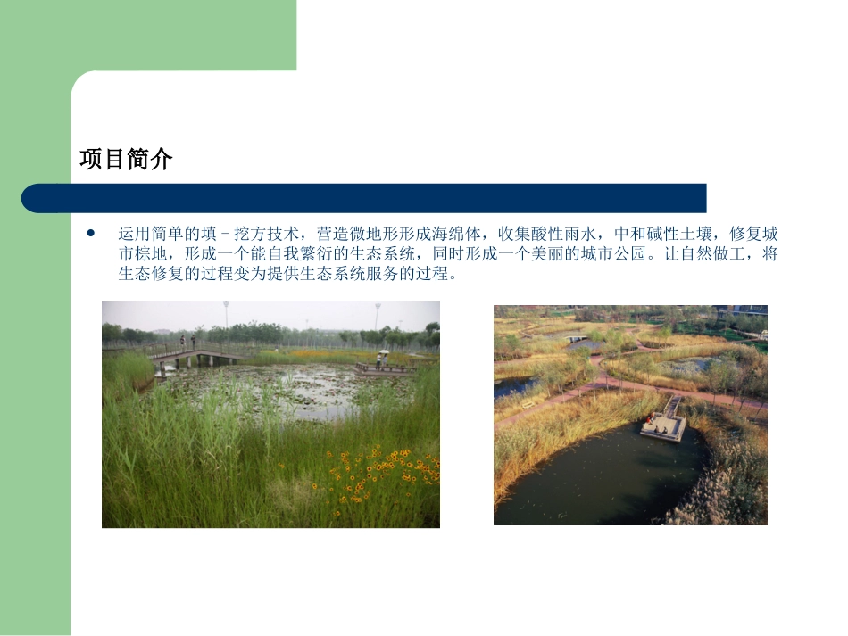 天津桥园公园_第3页