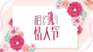 甜蜜浪漫情人节照片墙电子相册表白