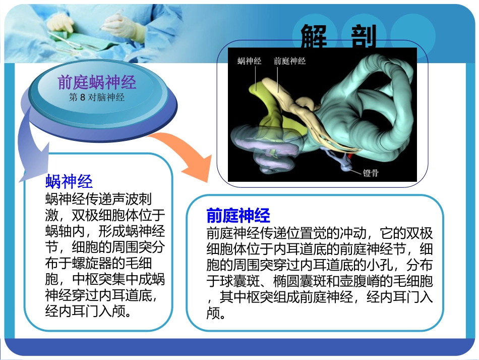 听神经瘤切除术要领_第3页