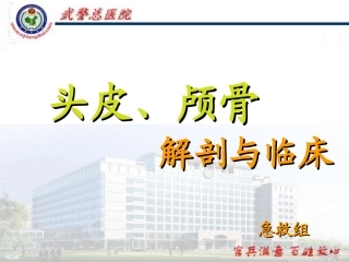 头皮和颅骨解剖分解