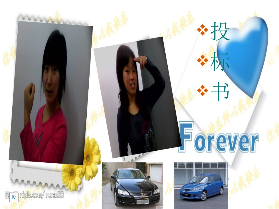 投标会投标书_第1页