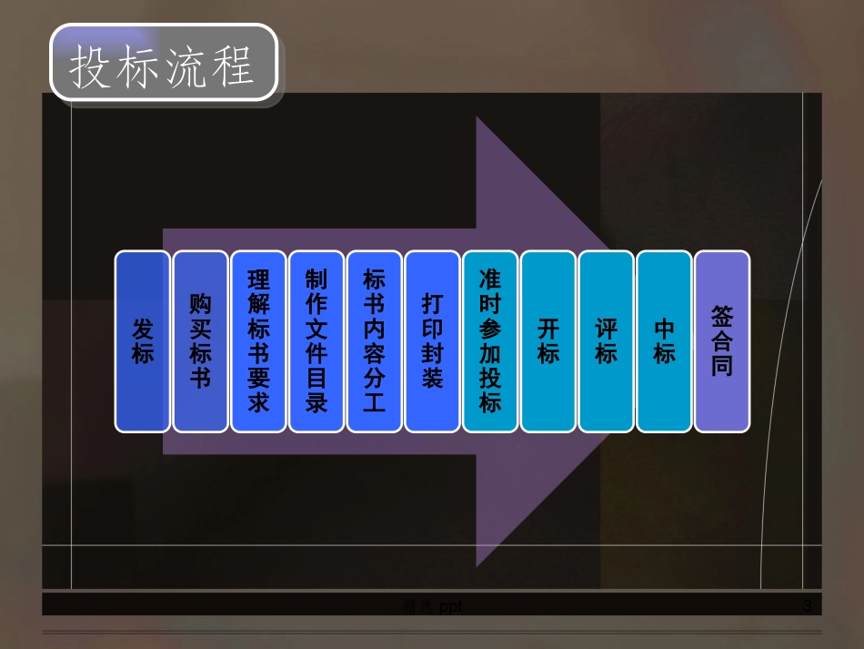 投标文件制作流程和技巧_第3页