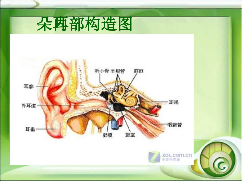突发性耳聋的护理查房_第3页
