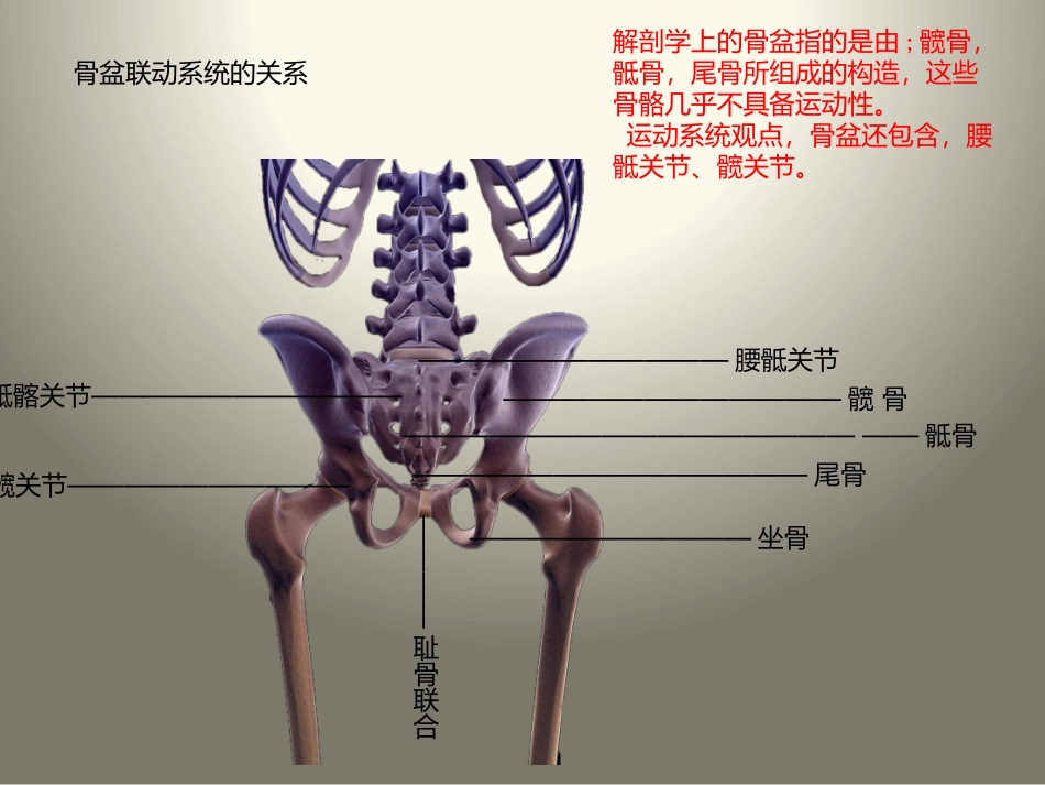 徒手塑骨缩阴骨盆修复术_第3页