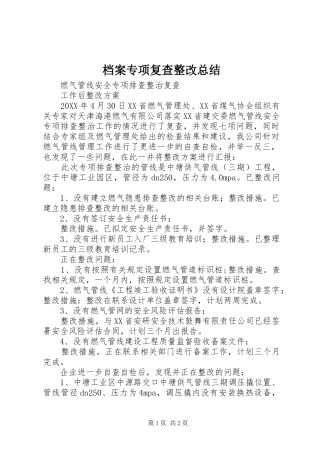 档案专项复查整改总结