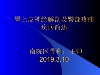 臀上皮神经解剖及疾病概述