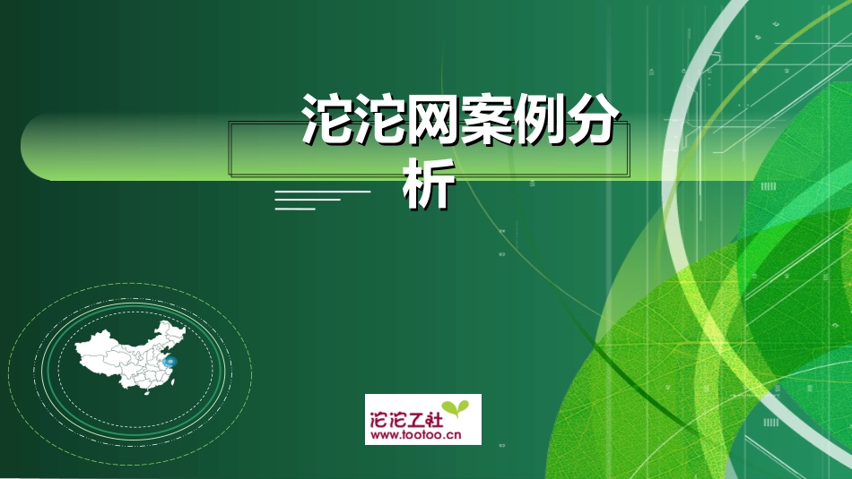 沱沱网电子商务案例分析_第1页