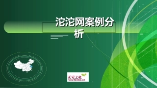 沱沱网电子商务案例分析