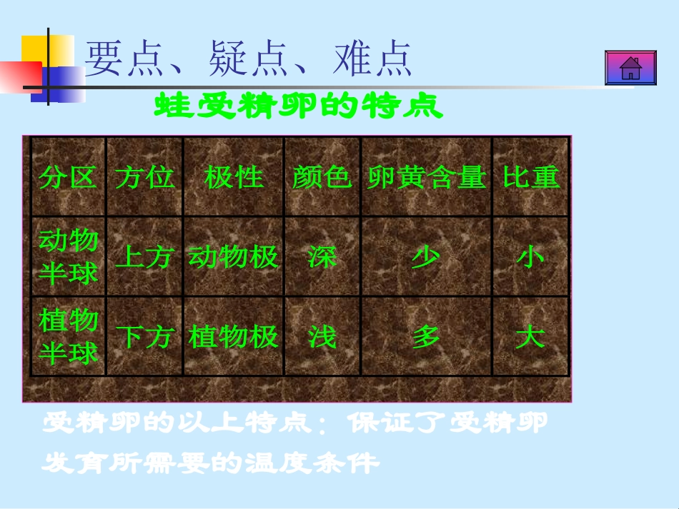 外胚层中胚层和内胚层_第3页