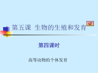 外胚层中胚层和内胚层