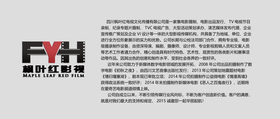 网络大电影情敌同盟广告植入招商方案_第2页