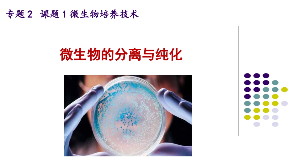 微生物的分离和纯化_第2页