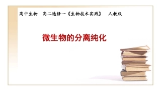 微生物的分离和纯化