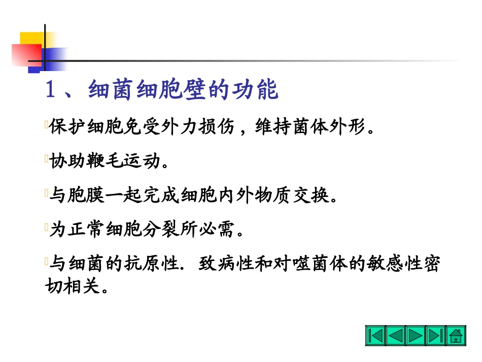 微生物的细胞壁结构_第3页