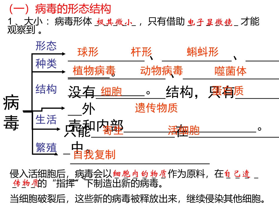 微生物复习课件_第2页