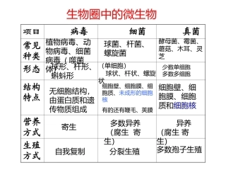 微生物复习课件