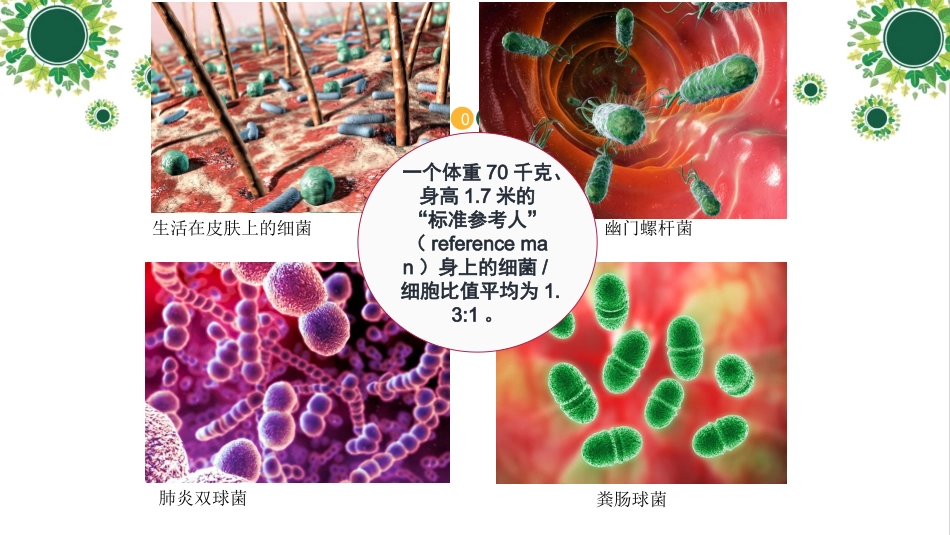 微生物和环境间的相互关系_第3页
