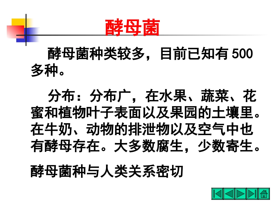 微生物酵母菌_第2页