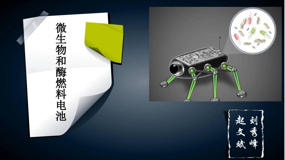 微生物燃料电池_第1页