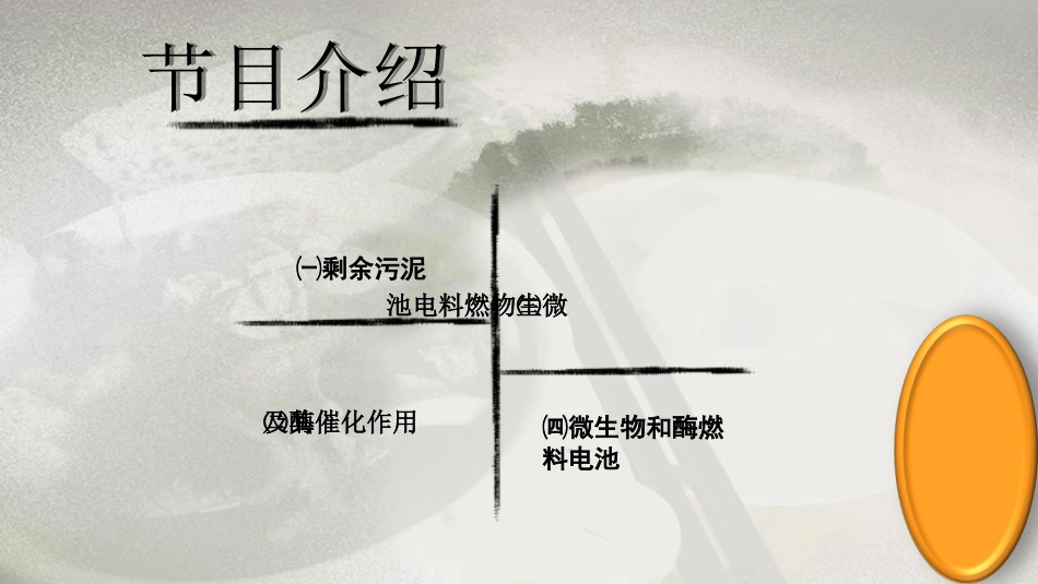 微生物燃料电池_第2页
