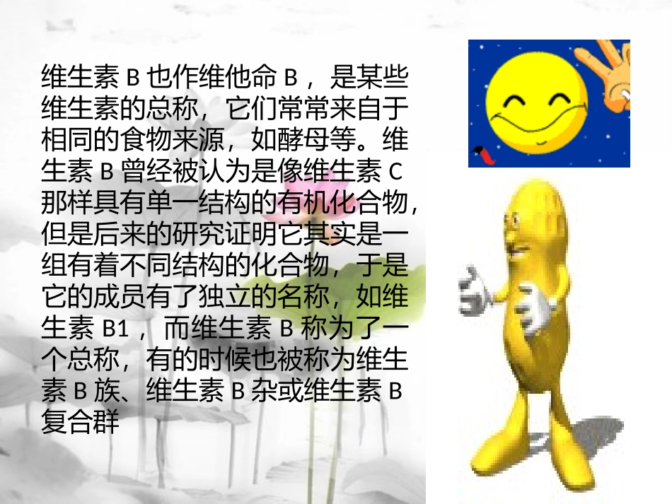 维生素B族及其功能_第2页