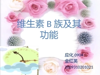 维生素B族及其功能