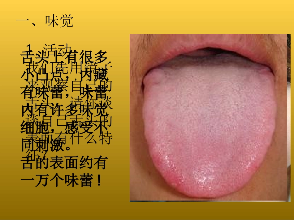 味觉和嗅觉课件_第2页