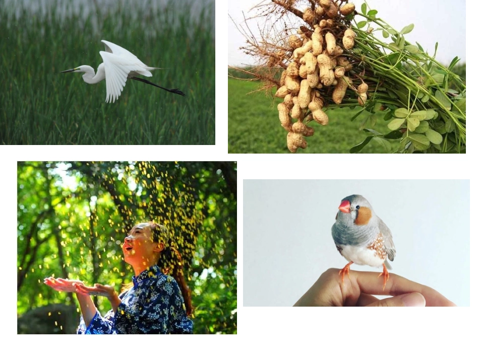 我的心爱之物_第2页