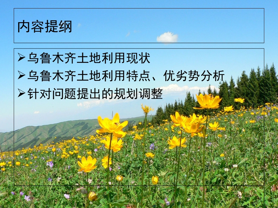 乌鲁木齐土地利用分析报告_第2页