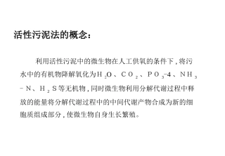 污泥性状分析