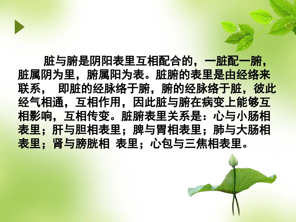 五脏和六腑的关系_第3页