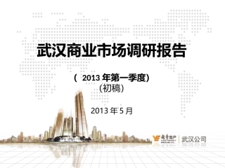 武汉商业调研报告