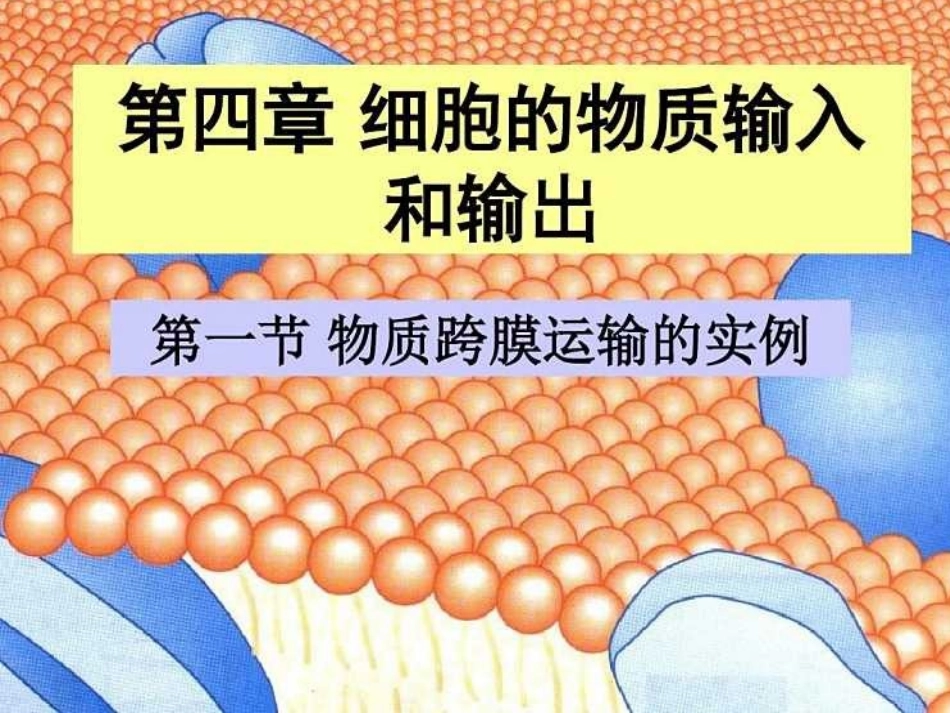 物质跨膜运输的实例_第1页