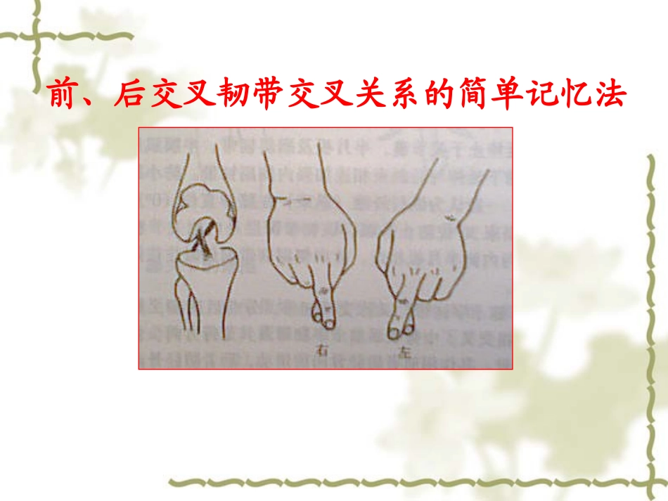 膝关节前交叉韧带损伤_第3页