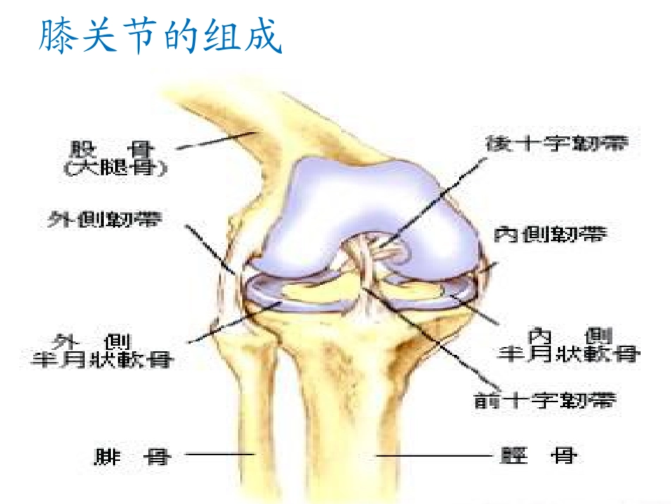 膝关节置换术的手术配合课件_第2页