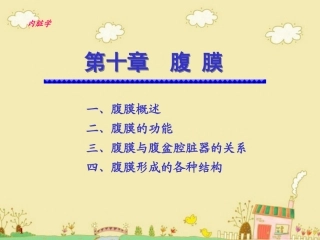 系统解剖学腹膜