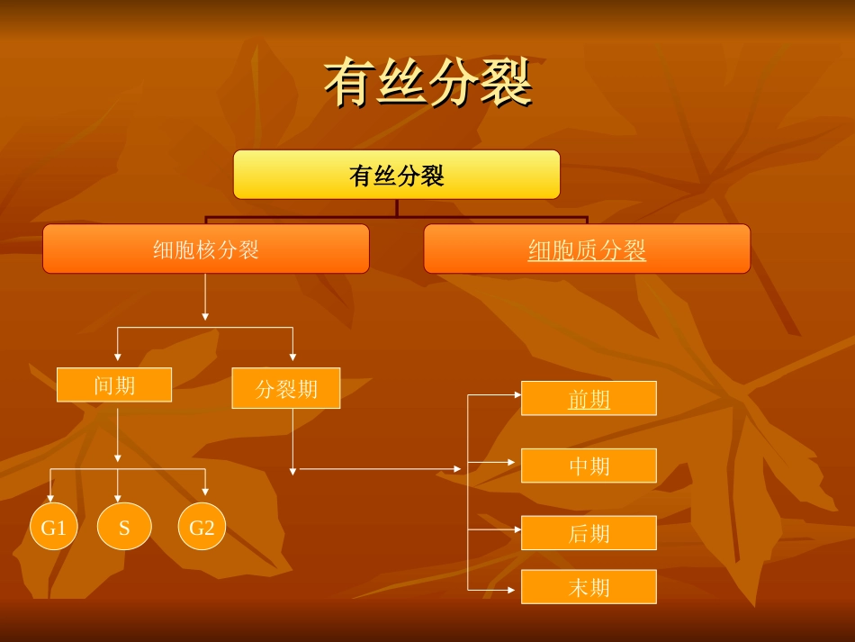 细胞分裂方式_第2页
