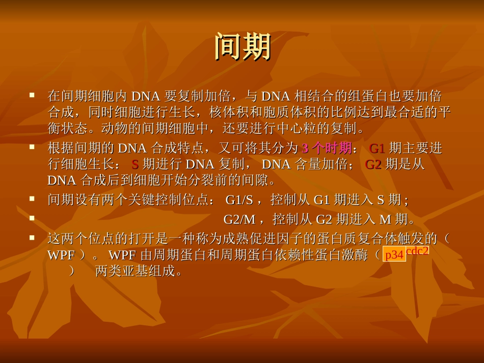 细胞分裂方式_第3页