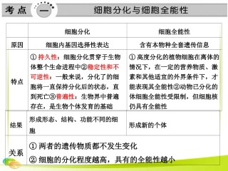 细胞分裂和细胞分化的区别和联系分解