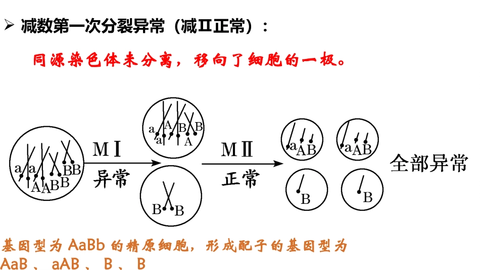 细胞分裂与染色体变异的关系_第2页