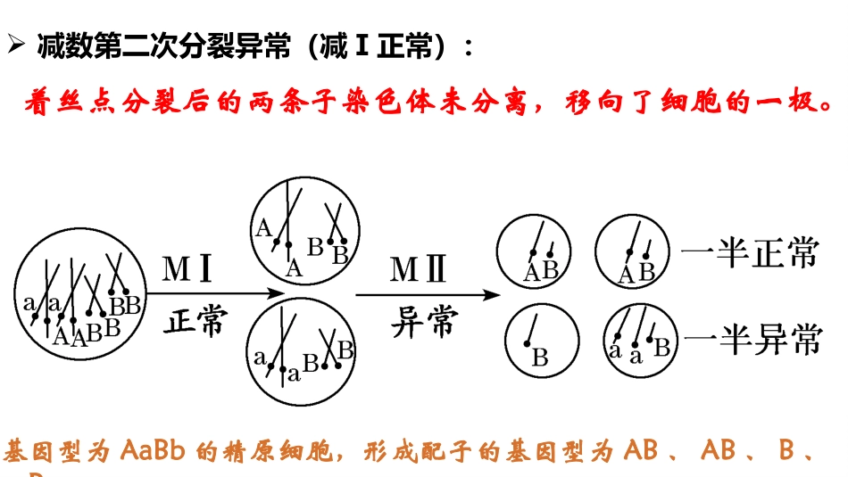 细胞分裂与染色体变异的关系_第3页