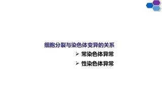 细胞分裂与染色体变异的关系