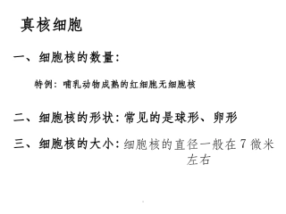 细胞核的结构和功能