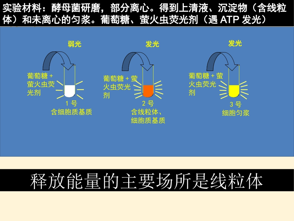 细胞呼吸课件_第3页