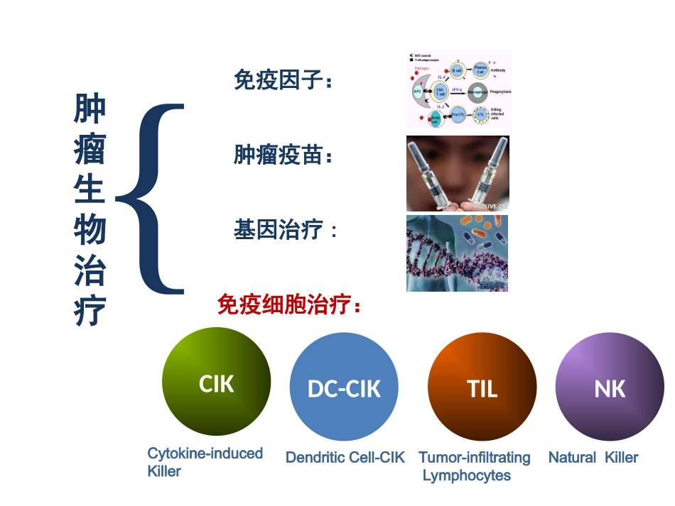 细胞免疫治疗技术_第3页