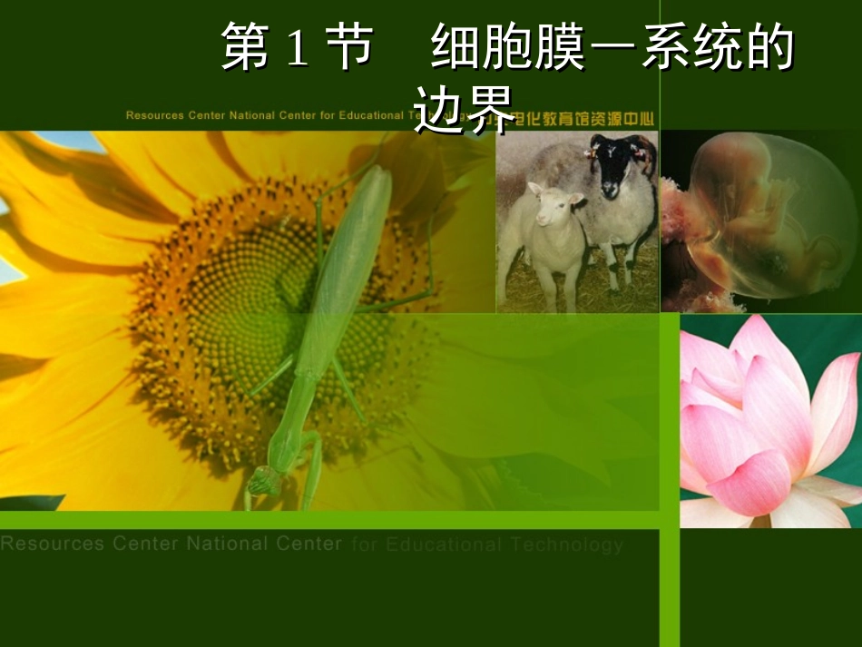 细胞膜系统的边界_第1页