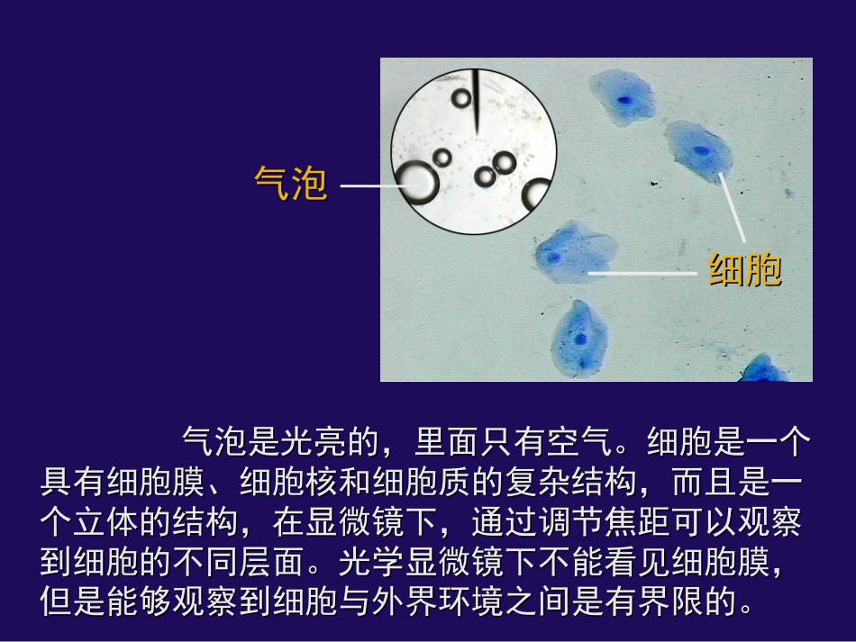 细胞膜系统的边界_第3页