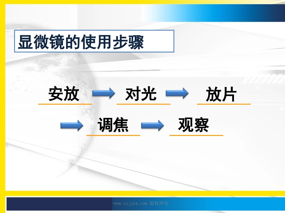 细胞实验观察动物细胞和植物细胞_第2页