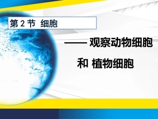 细胞实验观察动物细胞和植物细胞